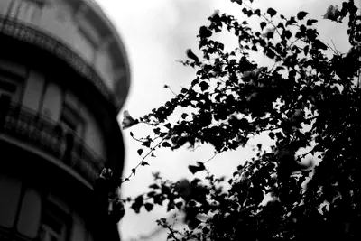114196_016.jpg