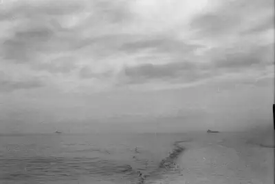 114196_036.jpg